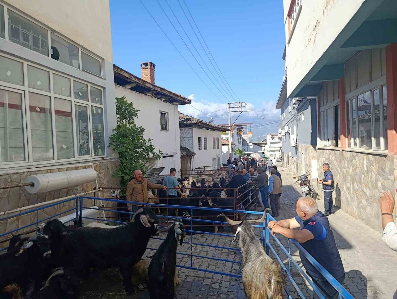 BOZDOĞAN YAZIKENT’TE KURBAN PAZARI HAREKETLENDİ