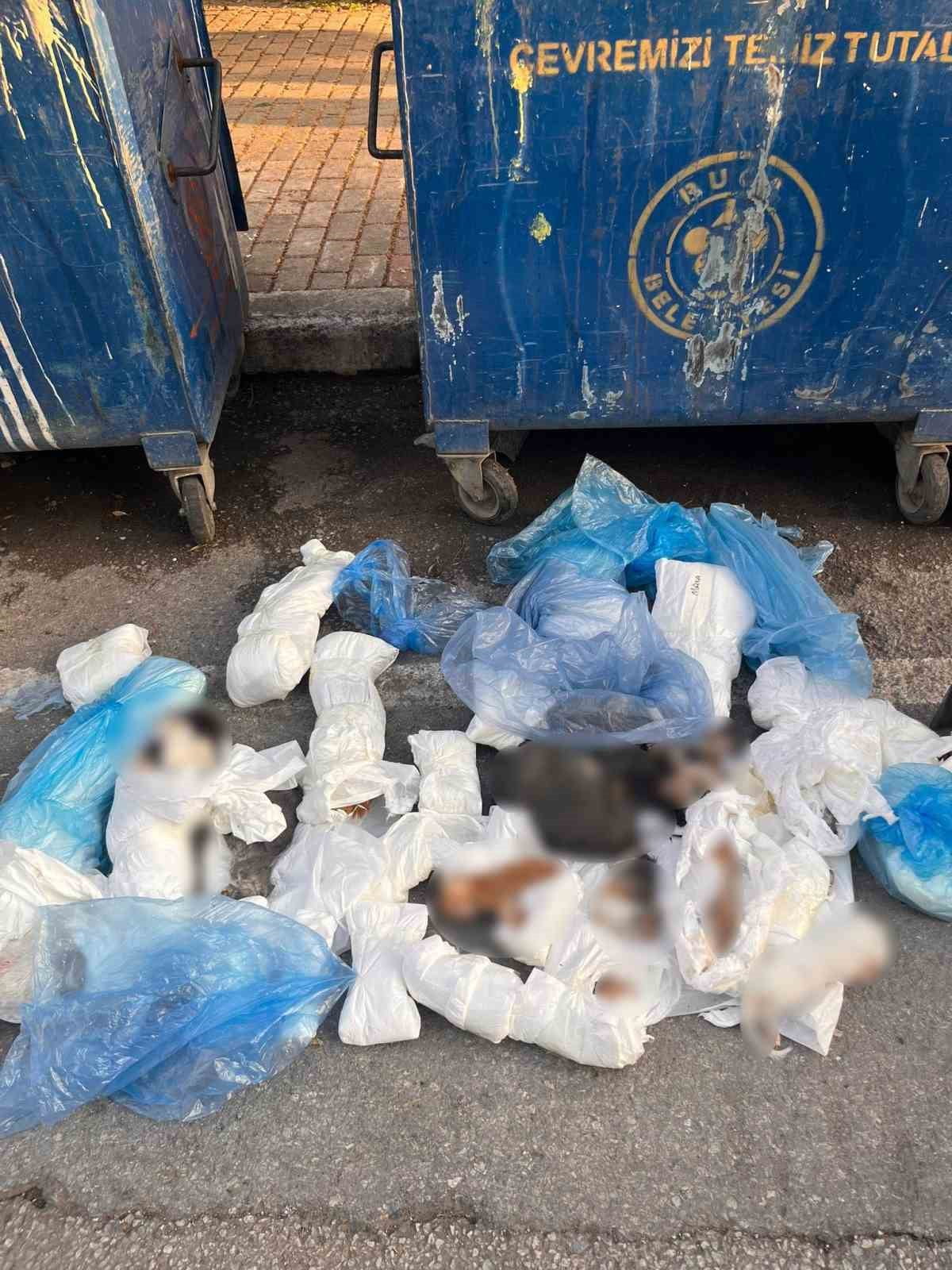 BUCA İLÇESİNDE BİR ÇÖP KONTEYNERİNİN ÖNÜNE BIRAKILAN POŞETLERİN İÇİNDE 33 ÖLÜ KEDİ...