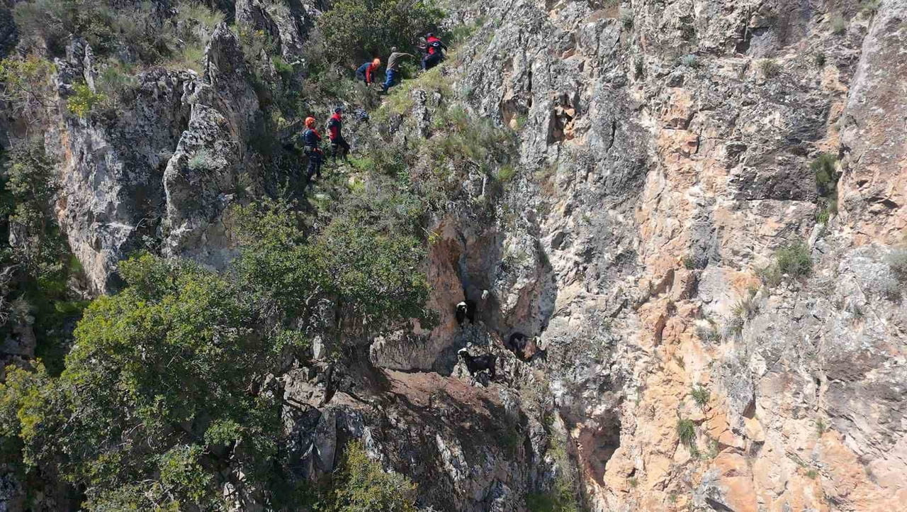 BURDUR'DA DAĞLIK ALANDA MAHSUR KALAN KEÇİLER, EKİPLERCE KURTARILARAK SAHİBİNE TESLİM...