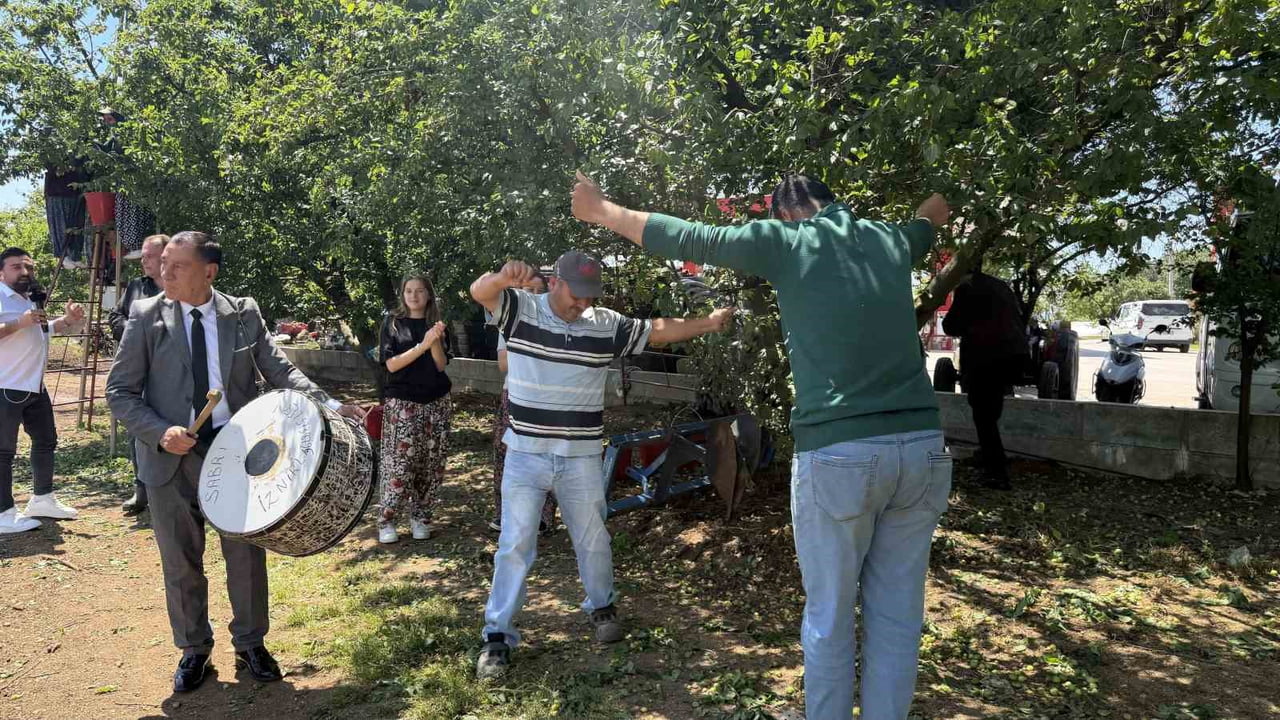 BURSA'NIN İZNİK İLÇESİNDE SEZONUN İLK ERİK HASADI DAVUL ZURNA EŞLİĞİNDE GÖBEK ATARAK YAPILDI....