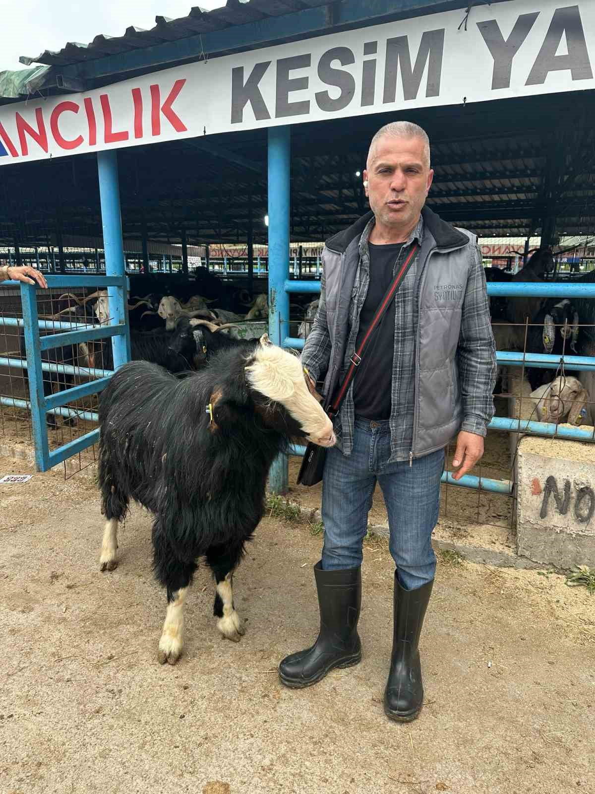 BURSA'NIN YILDIRIM İLÇESİNDEKİ İSABEY HAYVAN PAZARI'NDA AFYONKARAHİSAR'IN EMİRDAĞ İLÇESİNDEN...