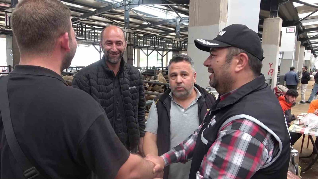 BURSA’DA KURBAN BAYRAMI ÖNCESİ HAREKETLİLİĞİN ARTTIĞI HAYVAN PAZARLARINDA, KAÇAKÇILIK VE ORGANİZE...