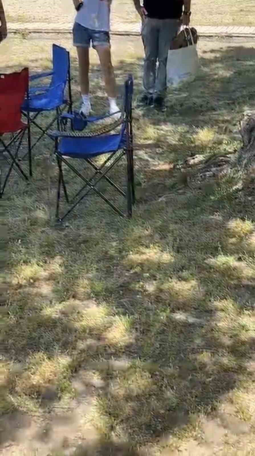 Bursa İznik'te sarı yılan ihbarı: İtfaiye yakalayarak doğaya bıraktı