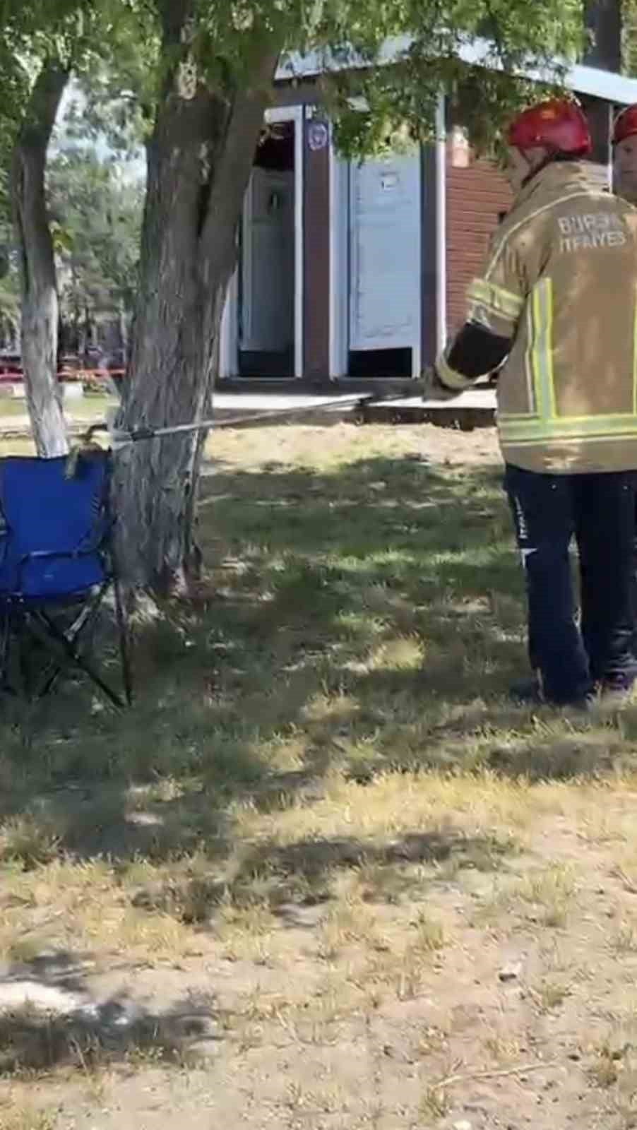 Bursa İznik'te sarı yılan ihbarı: İtfaiye yakalayarak doğaya bıraktı