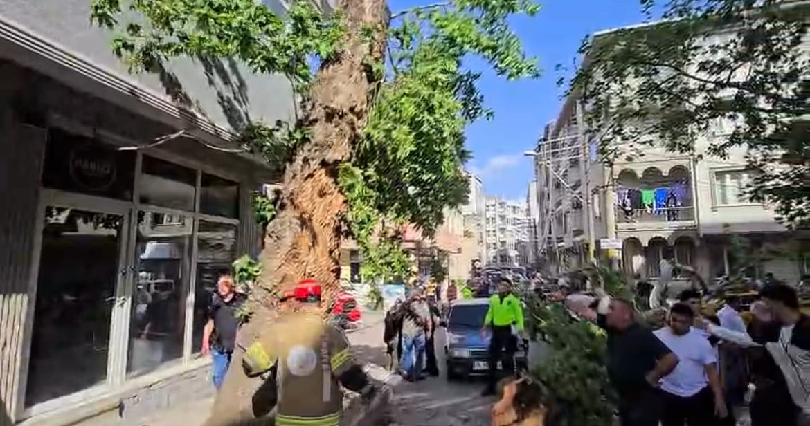 BURSA’DA SEYİR HALİNDEKİ ARAÇLARIN ÜZERİNE AĞAÇ DEVRİLDİ… 1 KİŞİ YARALANDI