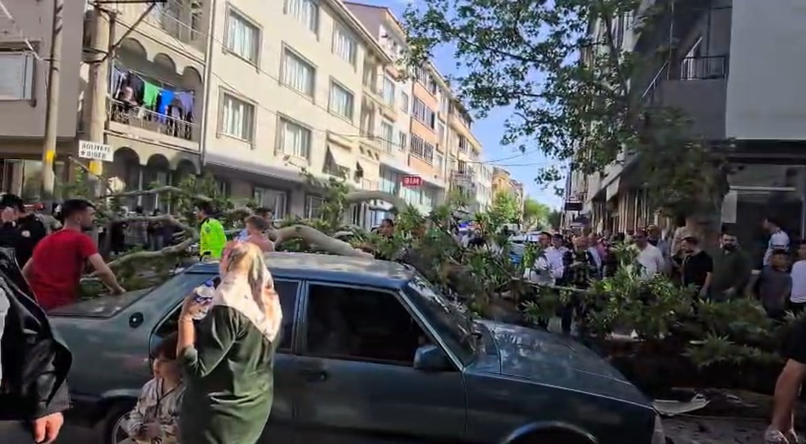 BURSA’DA SEYİR HALİNDEKİ ARAÇLARIN ÜZERİNE AĞAÇ DEVRİLDİ… 1 KİŞİ YARALANDI