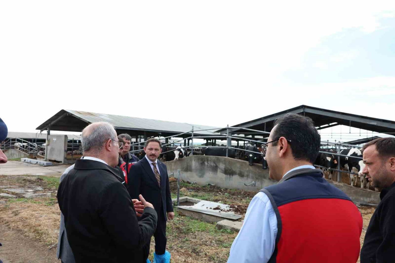 ÇANAKKALE’NİN BİGA İLÇESİNDE KURBAN BAYRAMI ÖNCESİ BÜYÜKBAŞ HAYVANCILIK İLE UĞRAŞAN İŞLETMEDE...