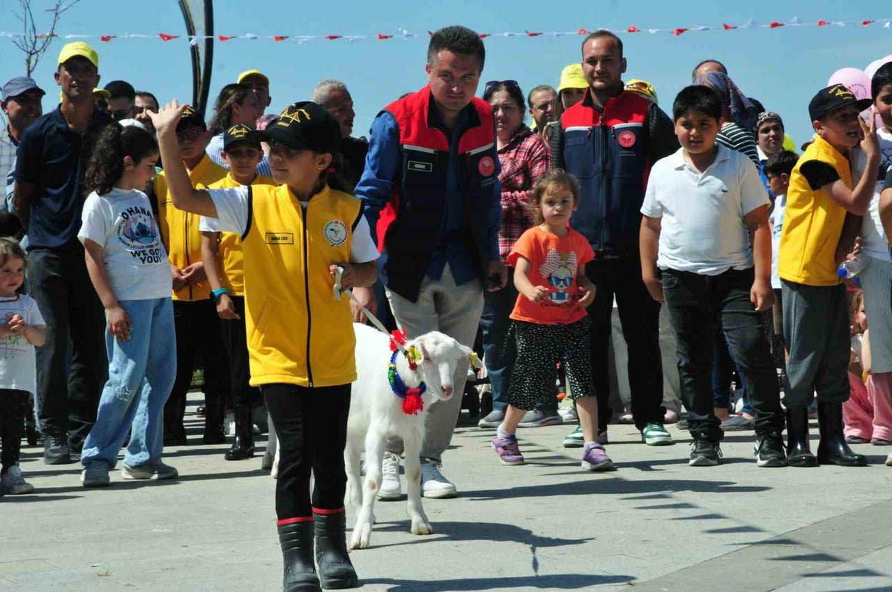 ÇANAKKALE’NİN LAPSEKİ İLÇESİNDE KAYMAKAMLIĞIN DÜZENLEDİĞİ ’BOĞAZIN MİNİK ÇOBANLARI’ PROJESİNDE...