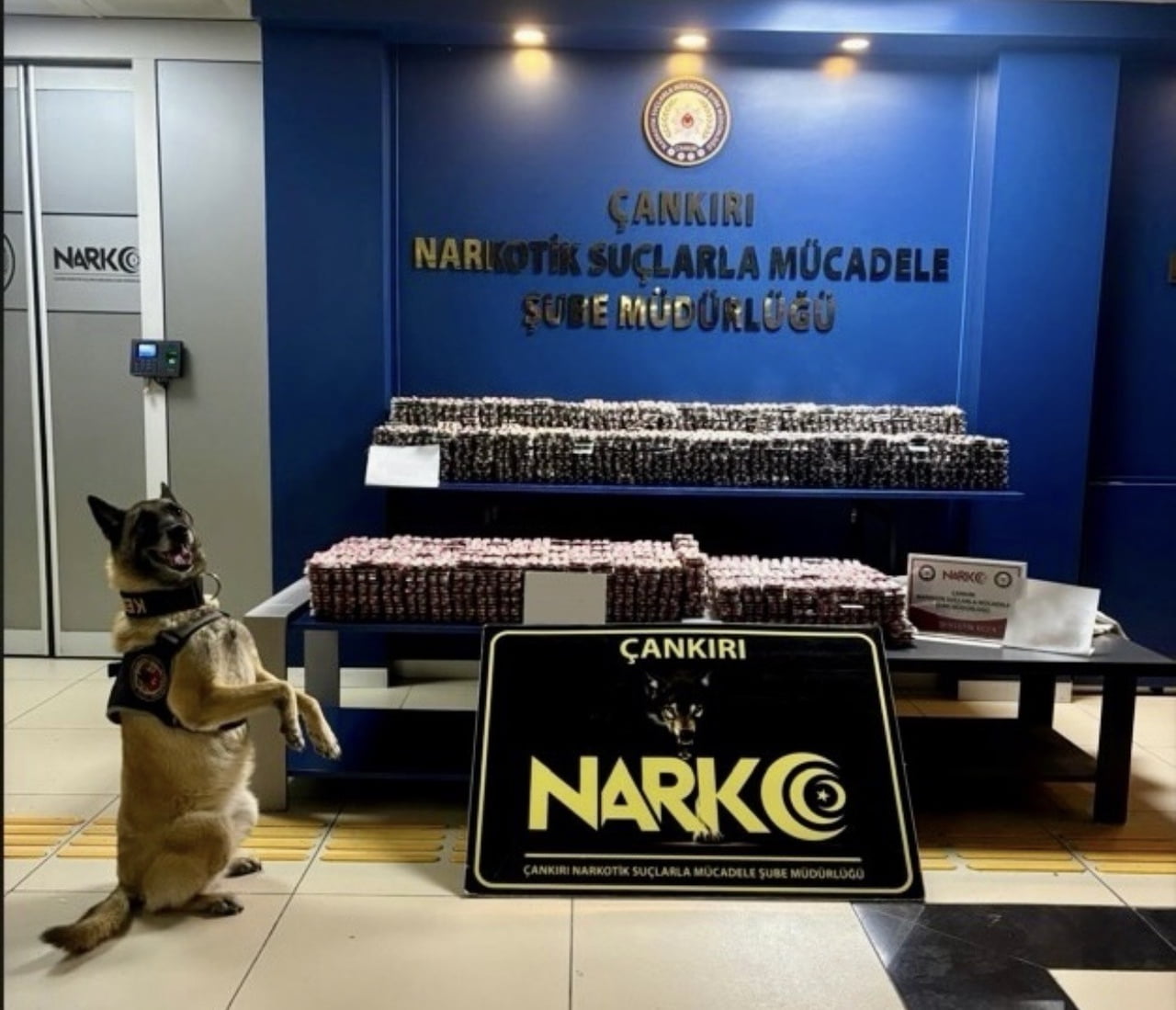 ÇANKIRI’DA POLİS EKİPLERİ TARAFINDAN DÜZENLENEN OPERASYONDA 85 BİN ADET HAP ELE GEÇİRİLDİ. KONUYLA...