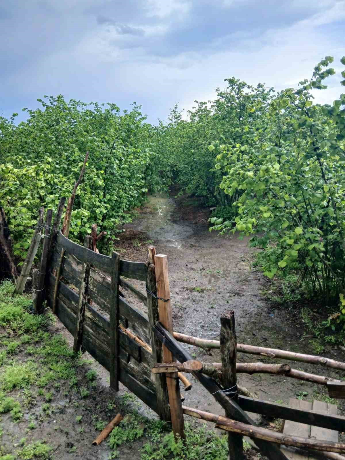 ÇARŞAMBA İLÇE TARIM VE ORMAN MÜDÜRLÜĞÜ EKİPLERİ, İLÇEDE ETKİLİ OLAN AŞIRI YAĞIŞLARIN ARDINDAN...