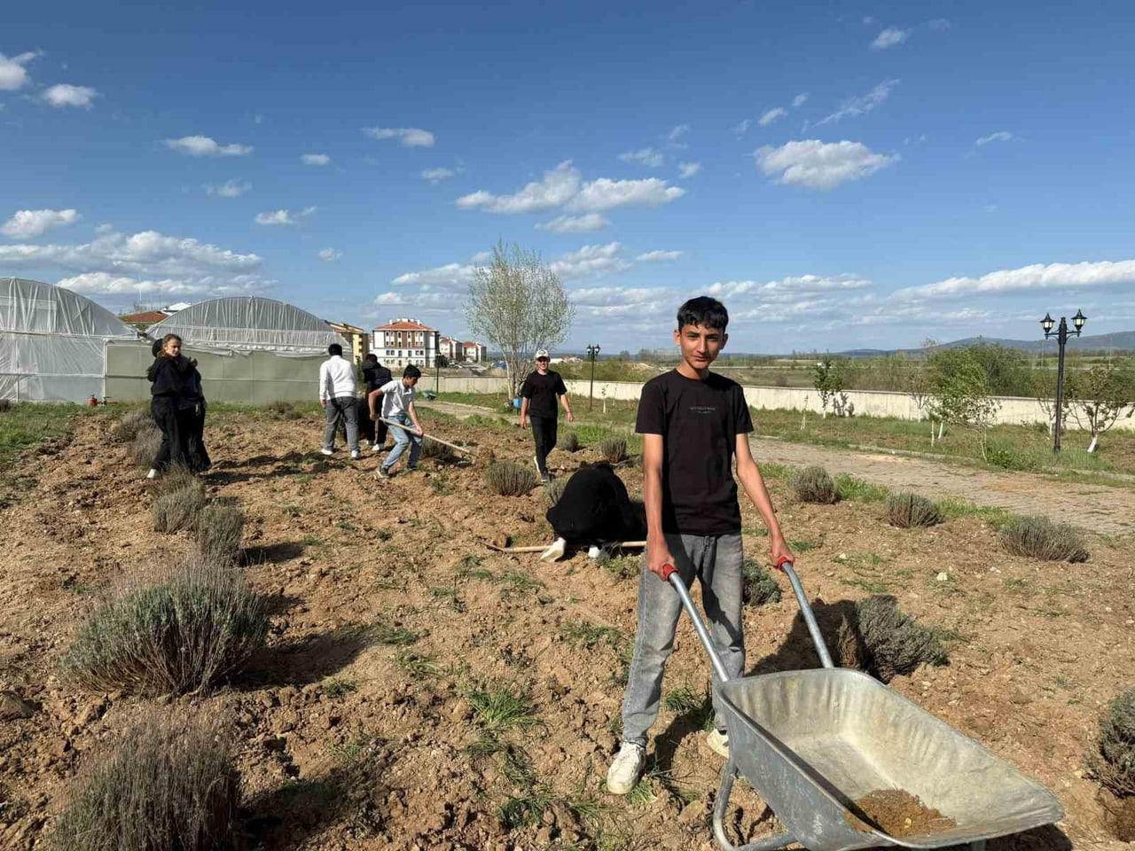 ÇAVDARHİSAR’DA ÖĞRENCİLER OKULUN TARIM ALANINA LAVANTA FİDANI DİKTİ