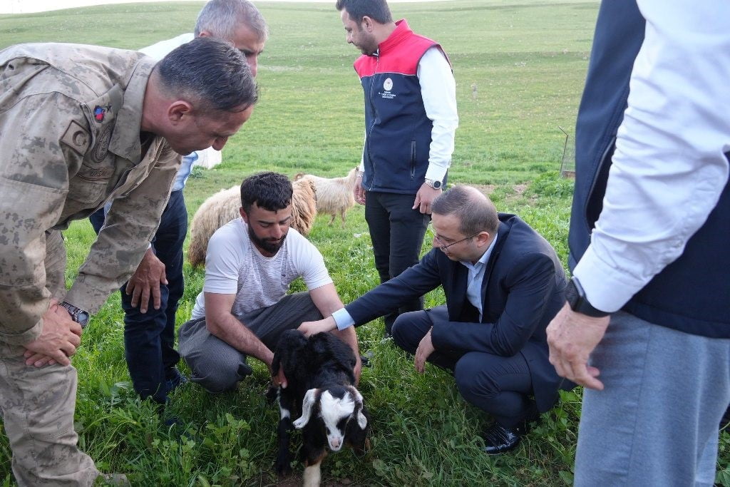 CİZRE KAYMAKAMI AHMET VEZİR BAYCAR, BOZALAN KÖYÜ MEVKİİNDE HAYVANCILIK YAPAN GÖÇER ÇİFTÇİLERİ...