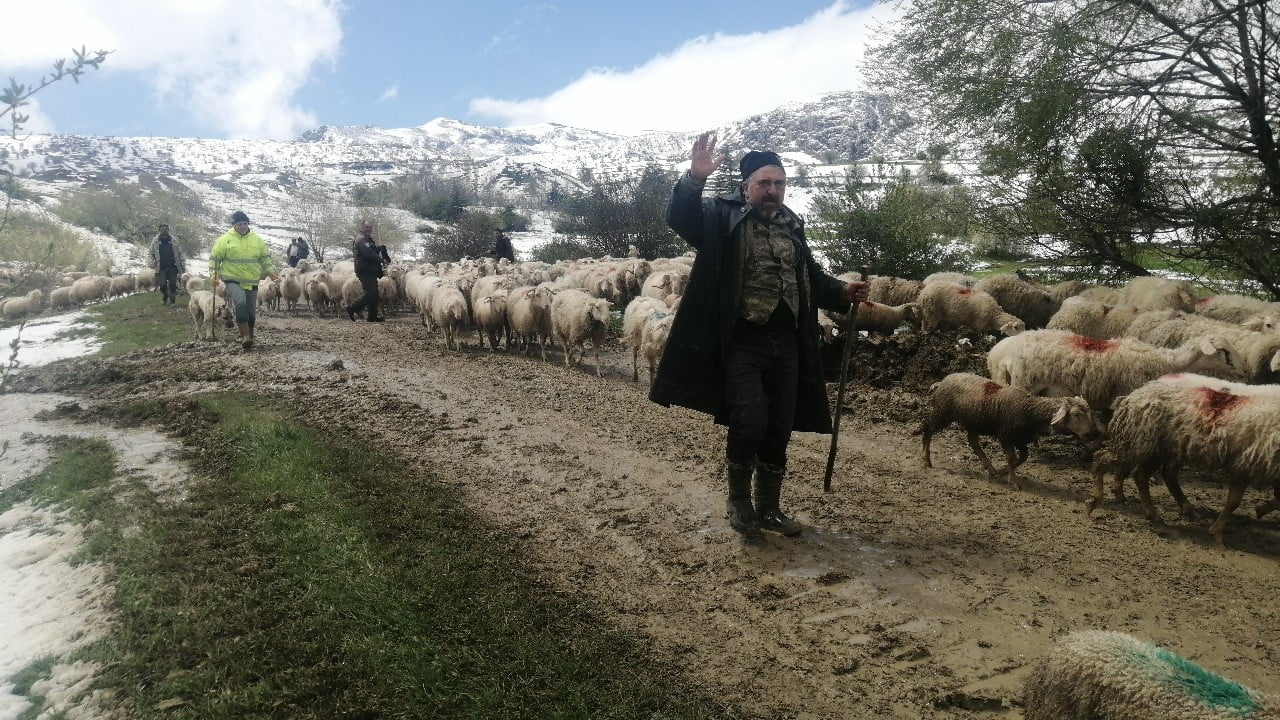 ÇOBAN BİLAL AKPINAR