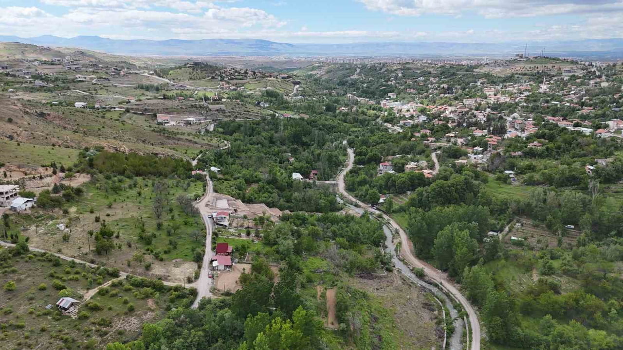 DALBASTI KİRAZINDA AĞAÇLAR ÇİÇEK AÇTI