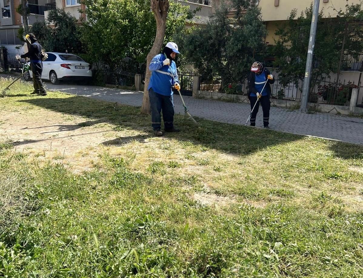 DİDİM BELEDİYESİ PARK VE BAHÇELER MÜDÜRLÜĞÜ EKİPLERİ, İLÇE GENELİNDE YEŞİL ALANLARIN KORUNMASI VE...