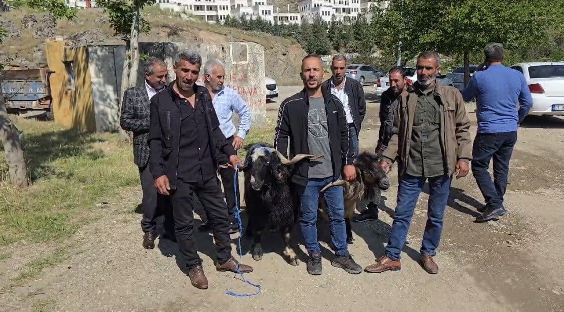 DİYARBAKIR'IN ÇERMİK İLÇESİNDE AREFE GÜNÜ KURBANLIK HAYVANLARA İLGİ ARTTI.