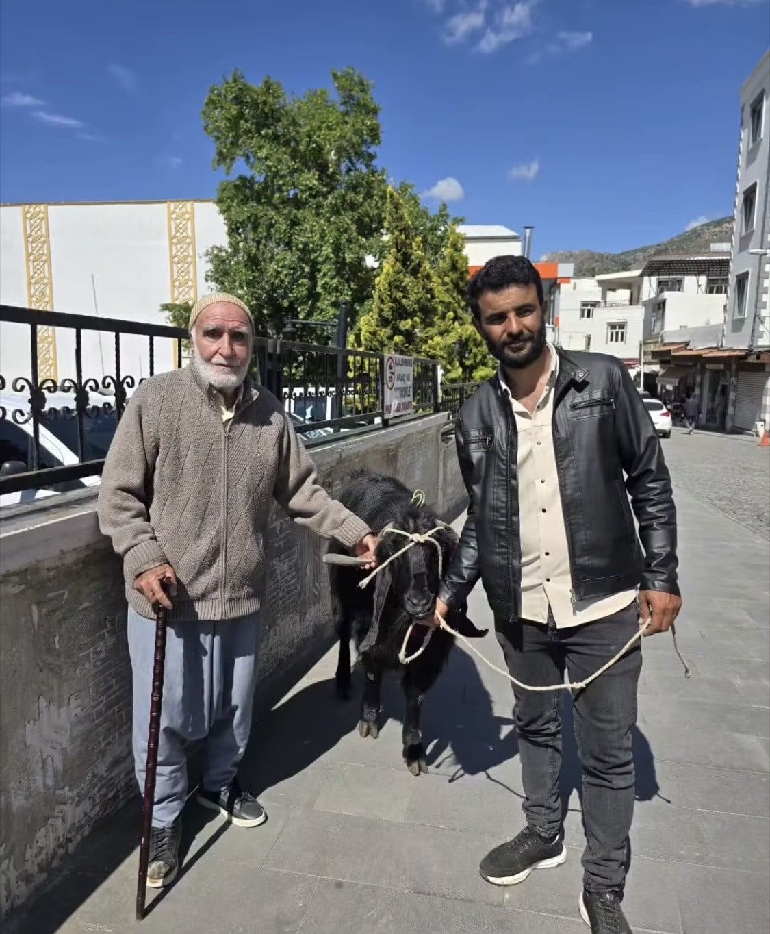 DİYARBAKIR'IN ÇERMİK İLÇESİNDE KURBANLIK TELAŞI DEVAM EDERKEN, BİR BESİCİ 70 KİLOLUK HAYVANINI 36...