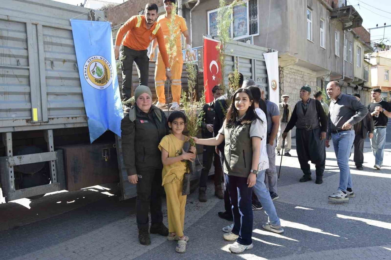 DİYARBAKIR'IN DİCLE İLÇESİNDE ÇAM, SELVİ, CEVİZ VE BADEM TÜRLERİNDE YAKLAŞIK BİN 500 ADET FİDAN...