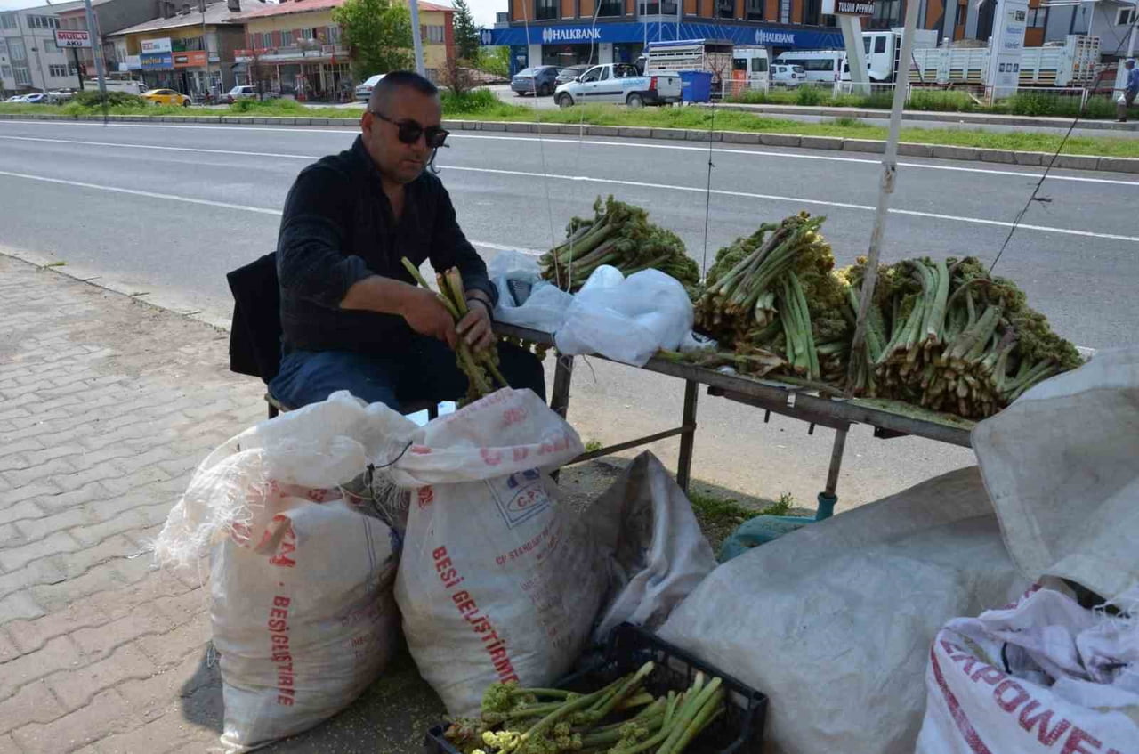 DOĞU ANADOLU BÖLGESİ’NİN YÜKSEK RAKIMLI YAYLALARINDA DOĞAL OLARAK YETİŞEN VE HALK ARASINDA "IŞGIN"...