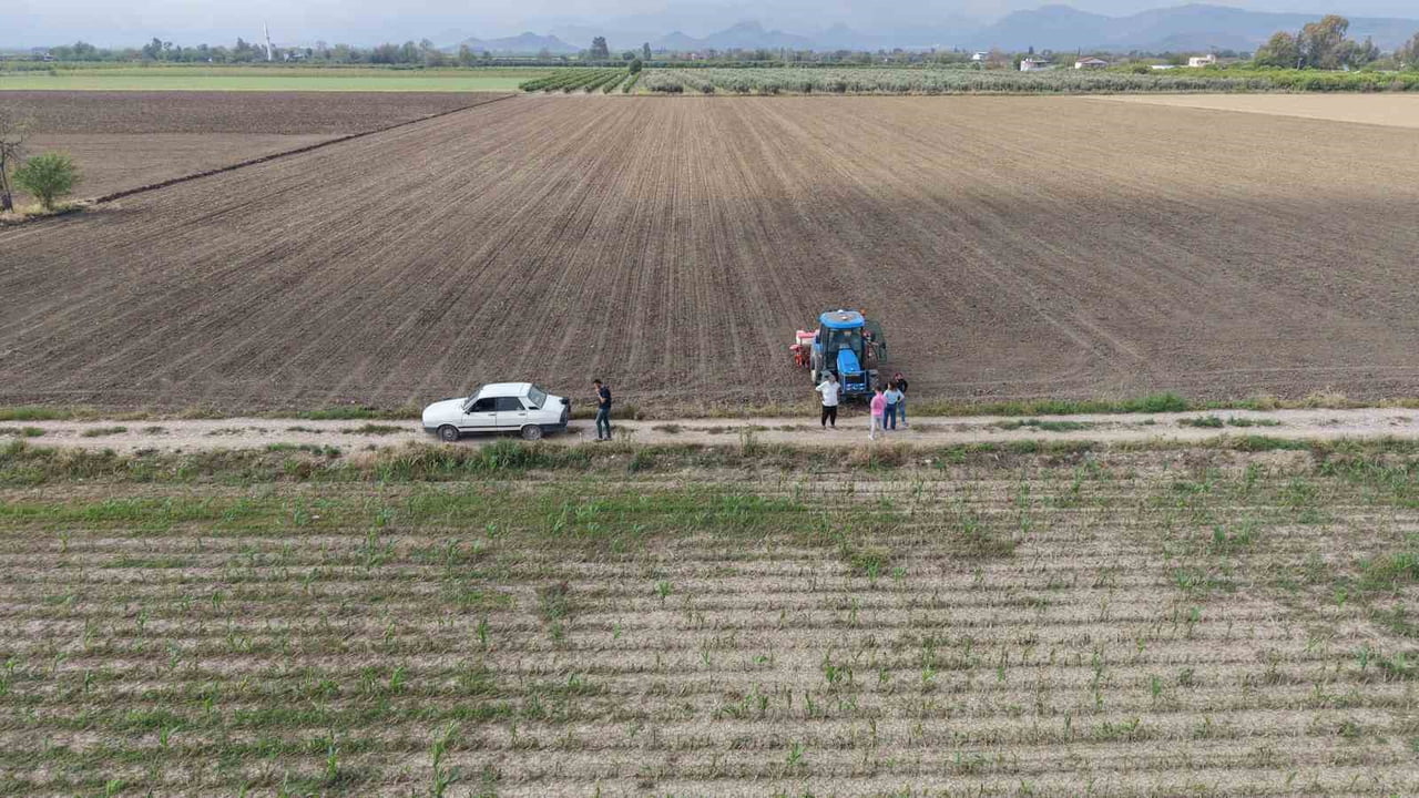 DOLU NEDENİYLE ZARAR GÖREN MISIR TARLALARINI SÖKMEYE BAŞLAYAN ÜRETİCİLER, SEZONU KURTARABİLMEK...