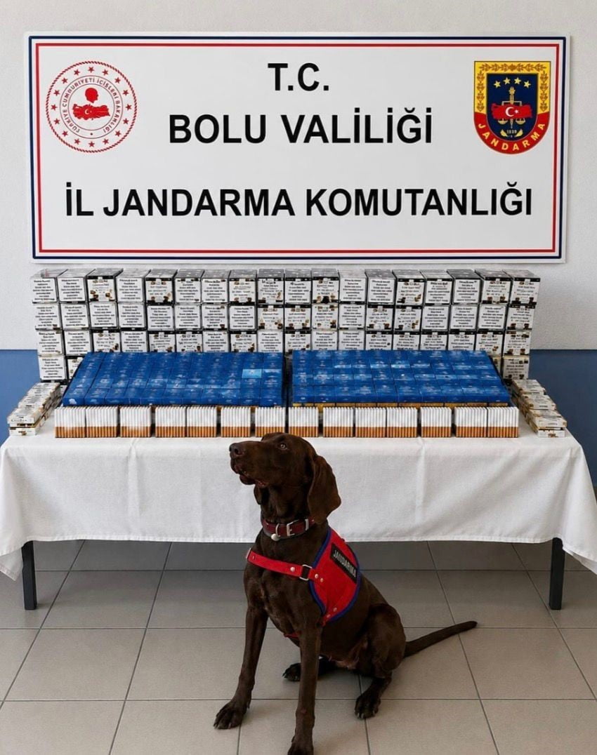 DURDURULAN ARAÇTA 9 BİN 700 ADET İÇİ TÜTÜN DOLDURULMUŞ MAKARON ELE GEÇİRİLDİ.