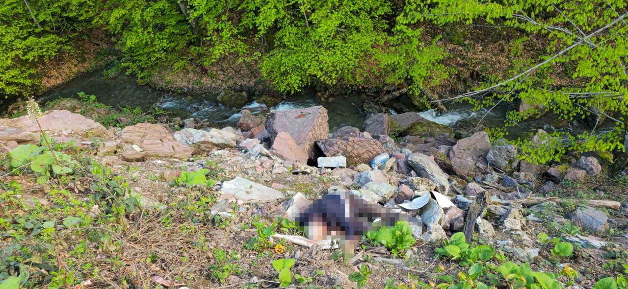 DÜZCE’DE SAMANDERE KÖYÜ İLE SİNEKLİ YAYLASI ARASINDA BULUNAN YOLDA ERKEK CESEDİ BULUNDU.