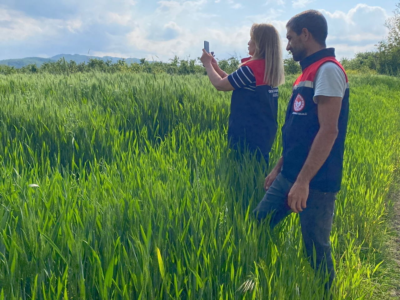 DÜZCE’DE ÜRETİCİLERİN ÇİFTÇİ KAYIT SİSTEMİ VE DESTEKLEME BAŞVURULARINDA BEYAN ETTİKLERİ ÜRÜN, ALAN...