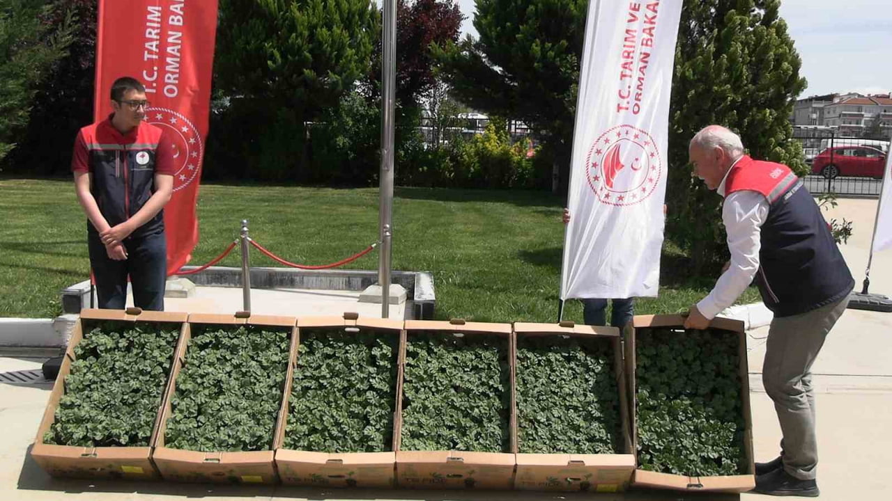 EDİRNE’DE TARIMSAL ÜRETİMİ ARTIRMAK VE ÜRETİCİLERE DESTEK SAĞLAMAK AMACIYLA DÜZENLENEN "KARPUZ...