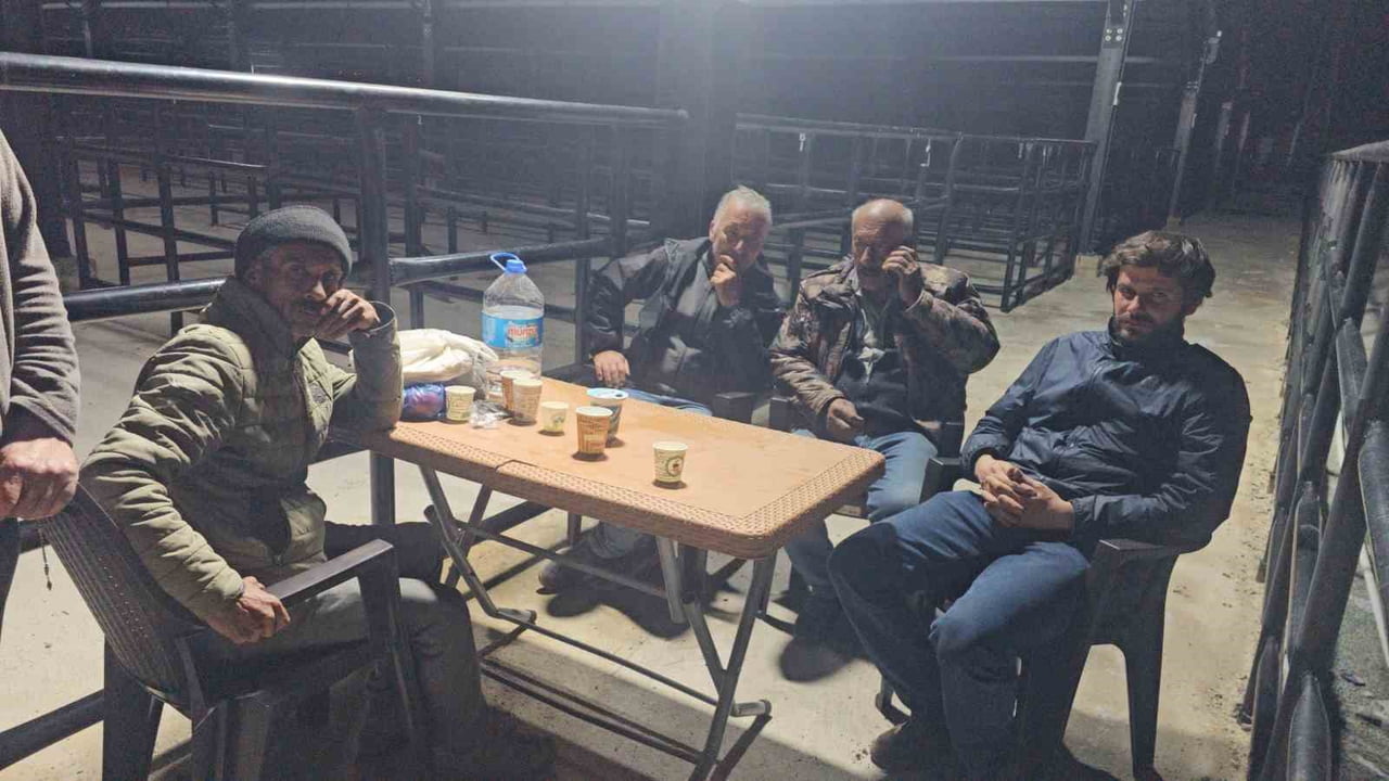 ELAZIĞ'DA KURBAN PAZARINDA UYKUSUZ MESAİ:GECEYİ HAYVANLARININ BAŞINDA GEÇİRİYORLAR