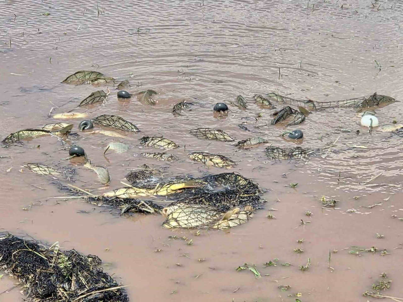 Elazığ'da av yasağı denetimleri: 3 bin 90 metre ağ ve 150 av aracı ele ...