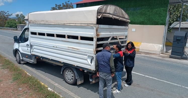 ELAZIĞ’DA KURBAN BAYRAMI ÖNCESİ HAYVAN SEVKLERİNE SIKI DENETİM