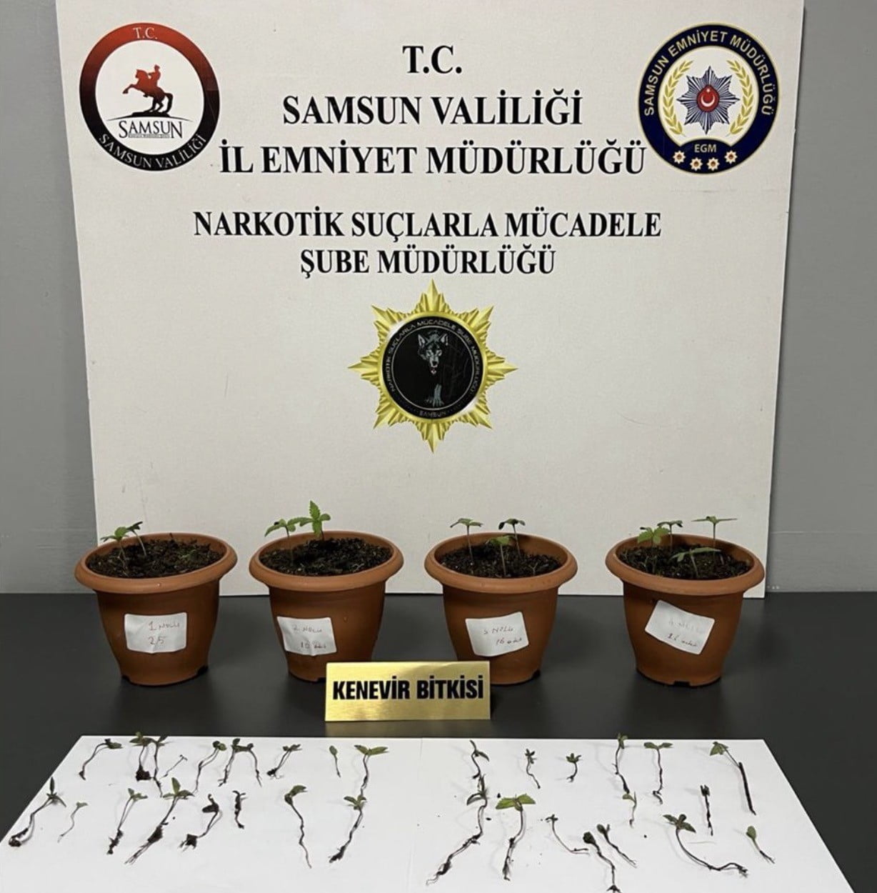ELE GEÇİRİLENLER