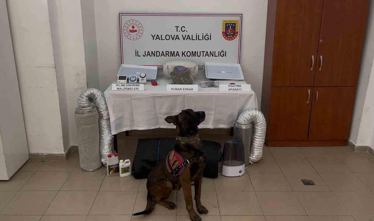 ELE GEÇİRİLENLER