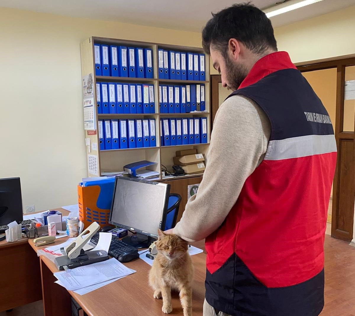 EMET’TE SAHİPLİ KEDİ VE KÖPEKLERE MİKROÇİP UYGULAMASI, KİMLİKLENDİRME VE PASAPORT TAHSİSİ...