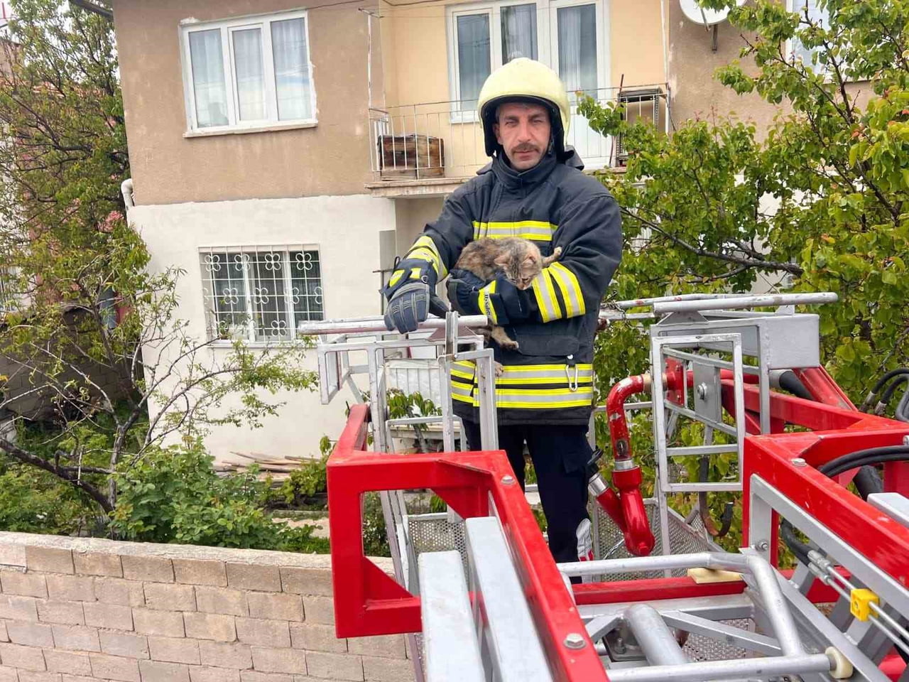 ERZİNCAN’DA ÇATIDA MAHSUR KALAN KEDİ İTFAİYE EKİPLERİNCE KURTARILDI