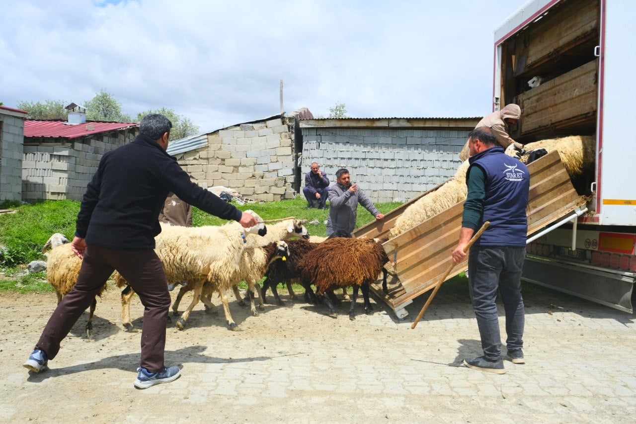 ERZİNCAN’DA HAVALARIN ISINMASIYLA BİRLİKTE YAYLA SEZONU AÇILIRKEN, TULUM PEYNİRİ ÜRETİCİLERİ...