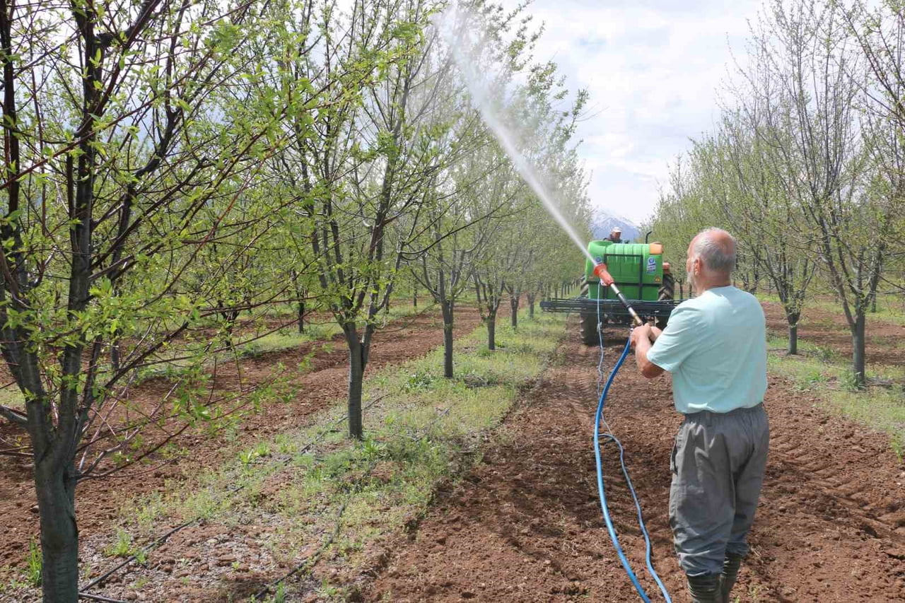 ERZİNCAN’DA MEYVE ÜRETİCİLERİNE YAĞIŞ SONRASI İLAÇLAMA UYARISI