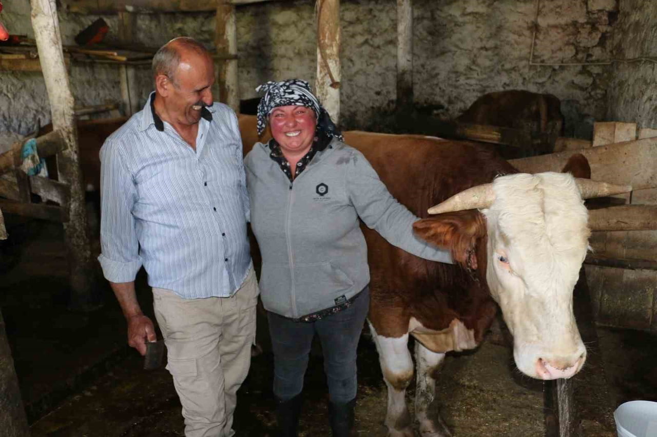 ERZİNCAN’IN ÜZÜMLÜ İLÇESİNE BAĞLI DEREBÜK KÖYÜNDE YAŞAYAN GÜRCİSTANLI NİNO EROĞLU, HAYVANCILIKLA...