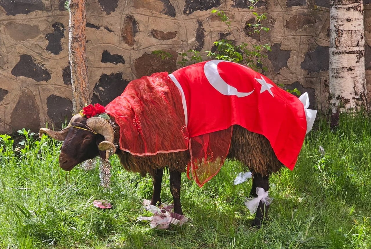ERZURUM’DA ASIRLARDIR DEVAM EDEN VE KÜLTÜREL MİRASIN EN RENKLİ ÖGELERİNDEN BİRİ OLAN "NİŞAN KOÇU"...