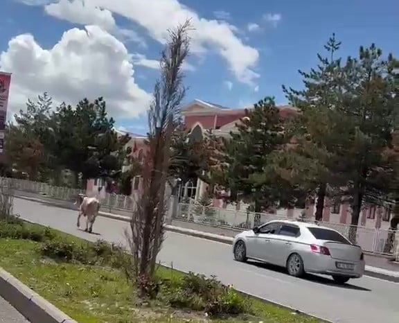 ERZURUM’DA YAKLAŞAN KURBAN BAYRAMI ÖNCESİ AREFE GÜNÜNDE HER YIL YAŞANAN TANIDIK MANZARALAR BU SENE...