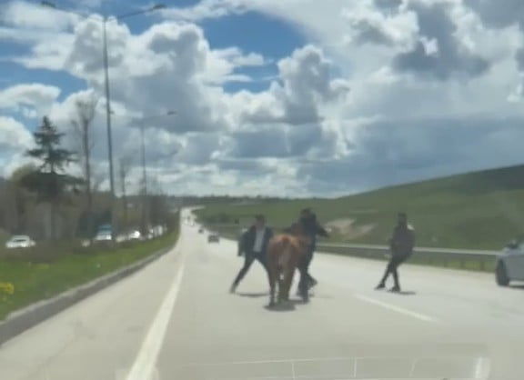 ERZURUM’DA YAKLAŞAN KURBAN BAYRAMI ÖNCESİ AREFE GÜNÜNDE HER YIL YAŞANAN TANIDIK MANZARALAR BU SENE...