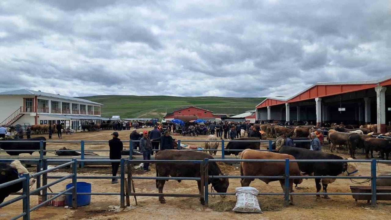ERZURUM MERKEZE 25, AZİZİYE İLÇE MERKEZİNE İSE 7 KİLOMETRE UZAKLIKTA BULUNAN AZİZİYE HAYVAN...
