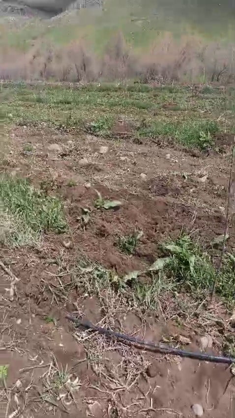 ERZURUM’UN AŞKALE İLÇESİNDE ETKİLİ OLAN SAĞANAK YAĞIŞLAR HAYATI OLUMSUZ ETKİLEMEYE DEVAM EDİYOR....
