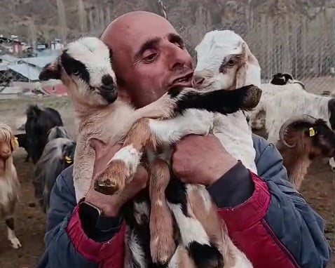 ERZURUM’UN TORTUM İLÇESİNDE YAŞAYAN VE SOSYAL MEDYADA PAYLAŞTIĞI DOĞAL YAŞAM VİDEOLARIYLA TANINAN...