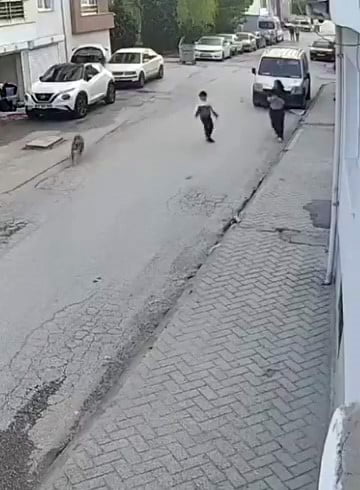 ESKİŞEHİR'DE BİR ANDA KOŞUP HAVLAYAN KÖPEĞİN KORKUTTUĞU KÜÇÜK ÇOCUĞUN PANİKLE ABLASININ YANINA...