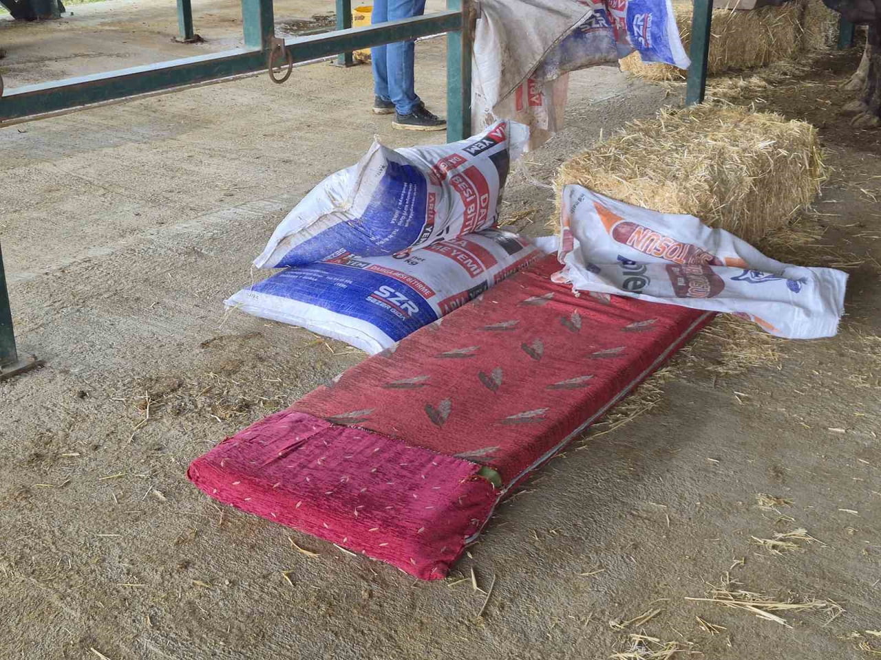 ESKİŞEHİR'DE KURBAN BAYRAMI ÖNCESİ HAYVAN PAZARINA GELEN BESİCİLER, ALANDAKİ FİZİKİ ŞARTLARIN...