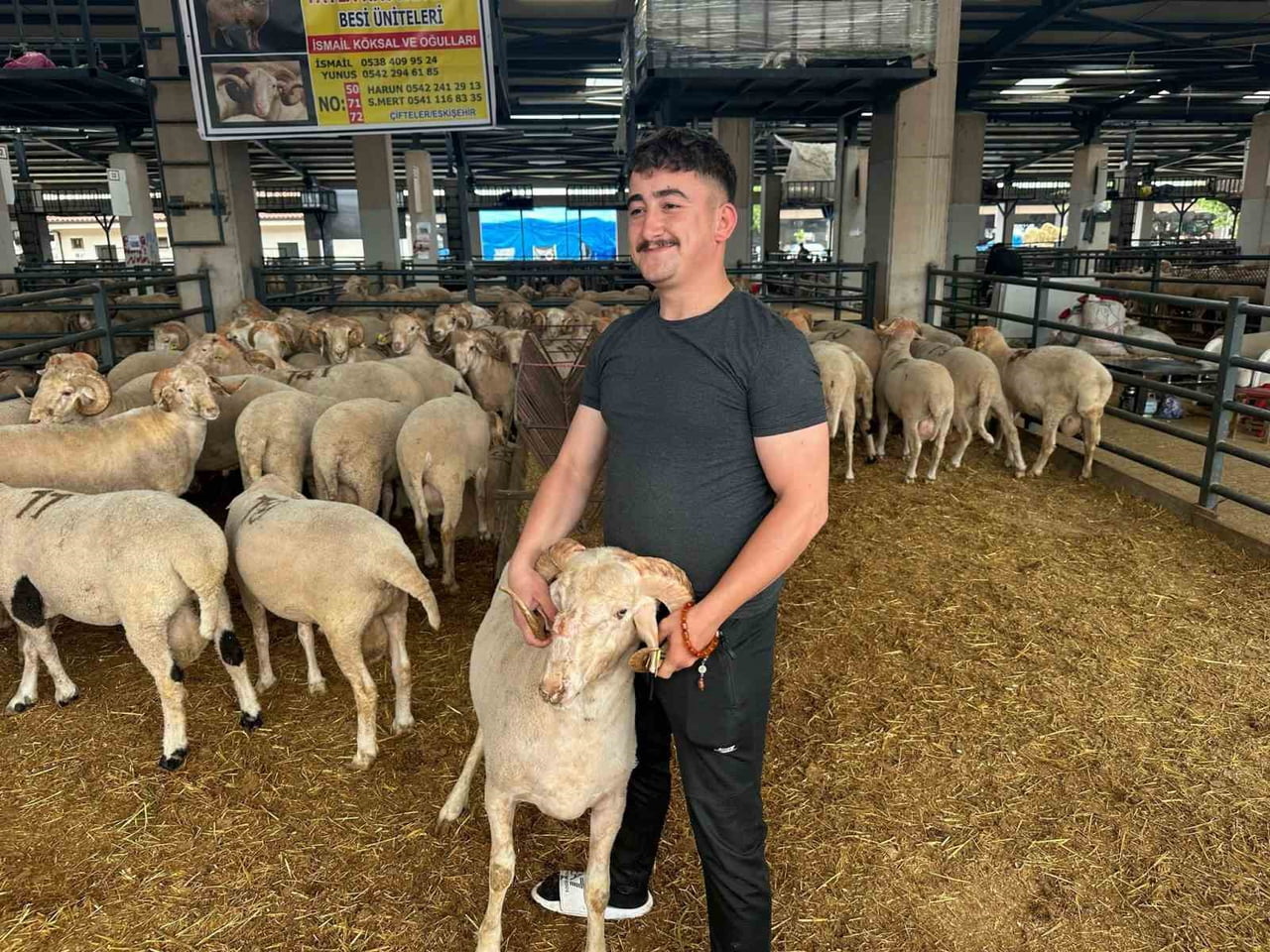 ESKİŞEHİR'İN ÇİFTELER İLÇESİNDEN BURSA'YA GETİRİLEN VE BURNUNUN ÜZERİNDEKİ ÜÇÜNCÜ BOYNUZUYLA...