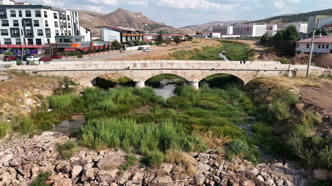 FADLUM IRMAĞI (ARŞİV)