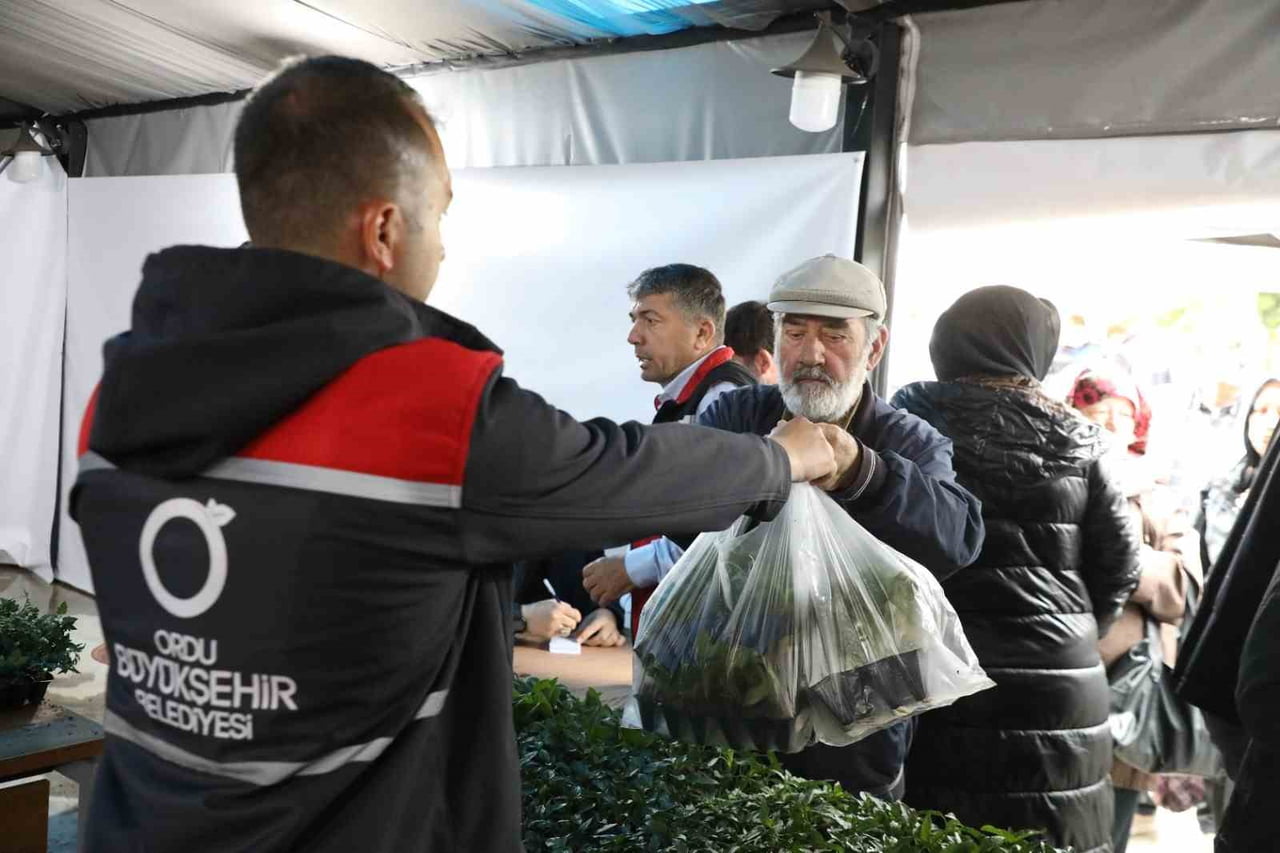 FİDE DAİĞITIM AŞAMASI