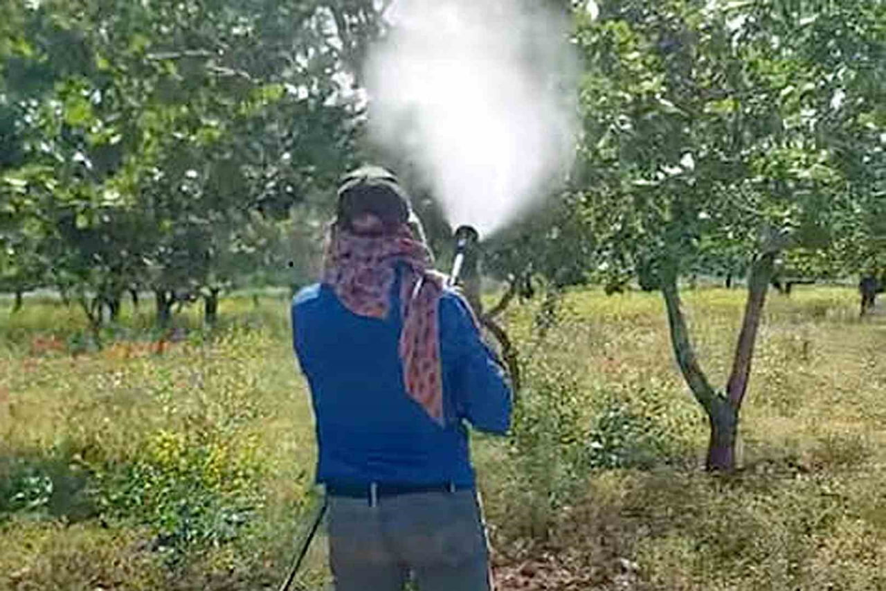 GAZİANTEP'İN ARABAN İLÇESİNDE ANTEPFISTIĞI ÜRETİCİLERİ, SONBAHAR, KIŞ VE İLKBAHARDA ETKİLİ OLAN...